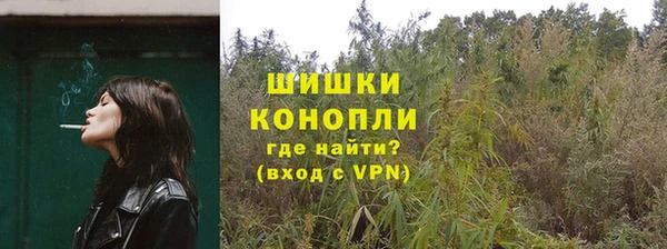мяу мяу мука Михайлов