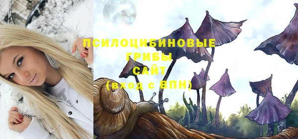 не бодяженный Медвежьегорск
