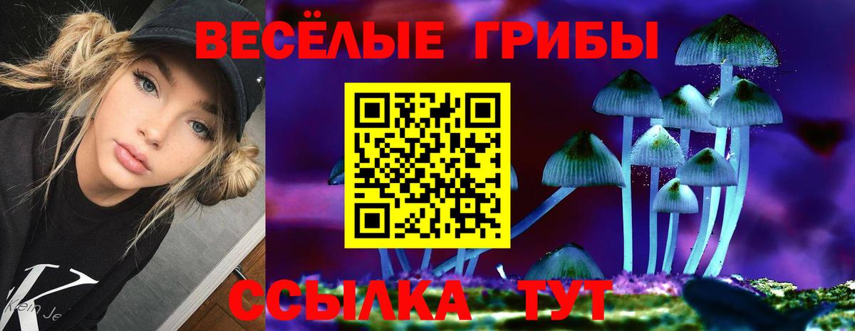 Галлюциногенные грибы MAGIC MUSHROOMS  Вход с VPN  Минусинск 